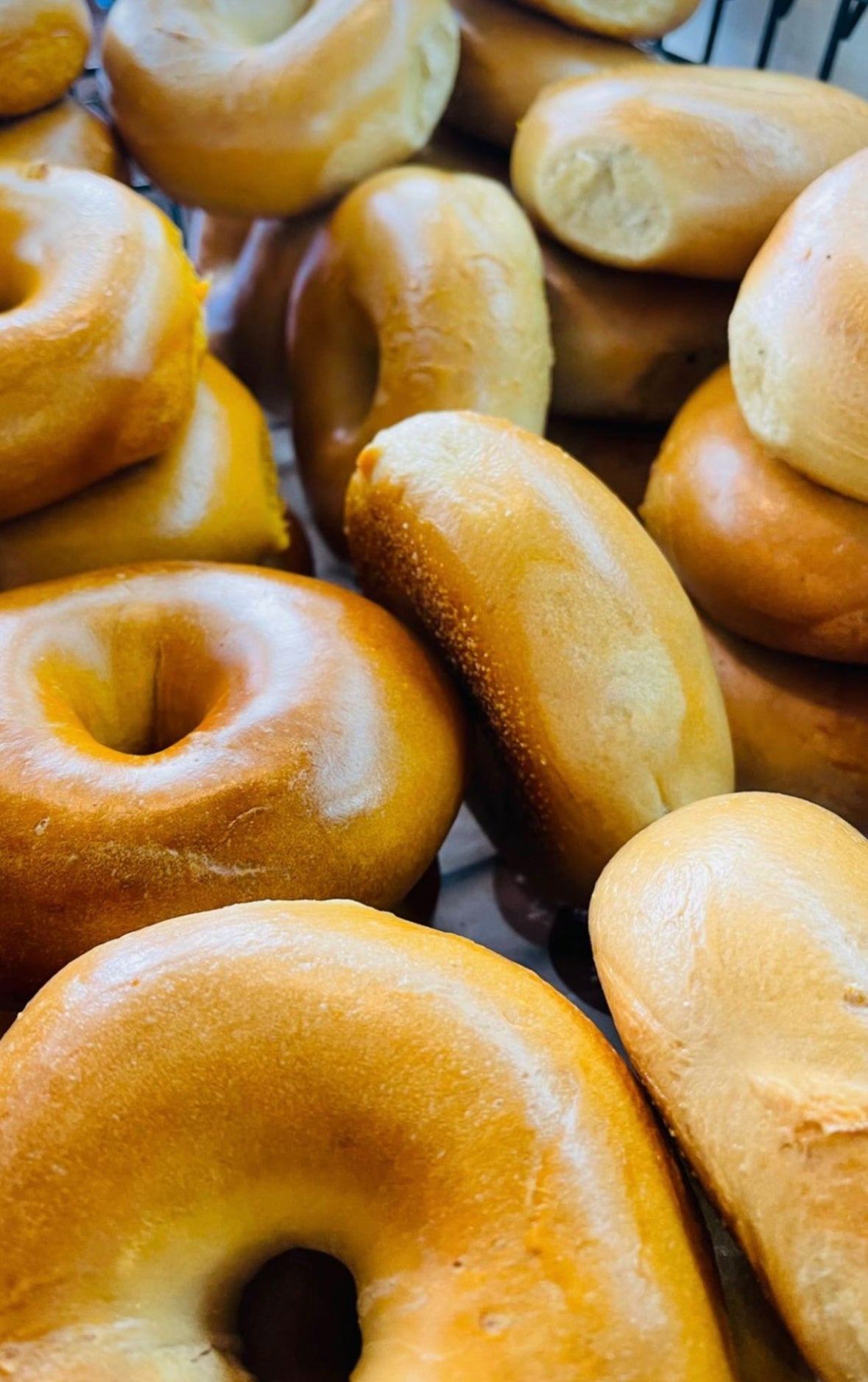 Plain Frozen Par Baked Bagels Case (5 Dozens) - shop_WholesaleDavidovich Bakery